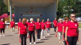 Выступление Tai-Chi на фестивале национальных искусств в Таллинне
